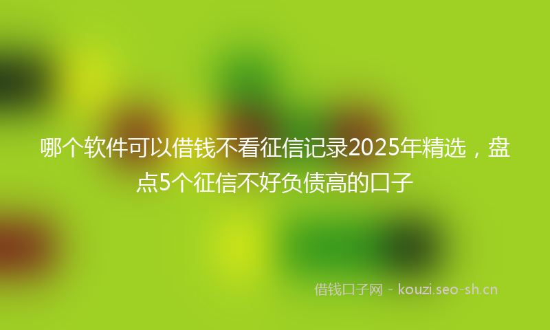 哪个软件可以借钱不看征信记录2025年精选，盘点5个征信不好负债高的口子