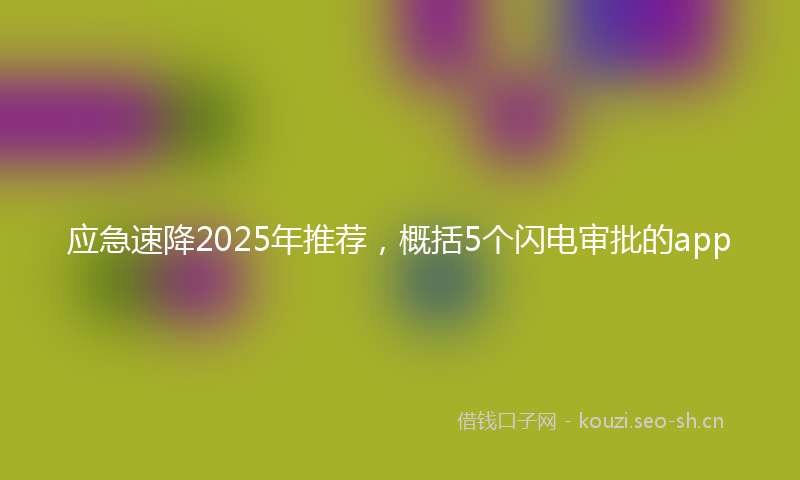 应急速降2025年推荐，概括5个闪电审批的app