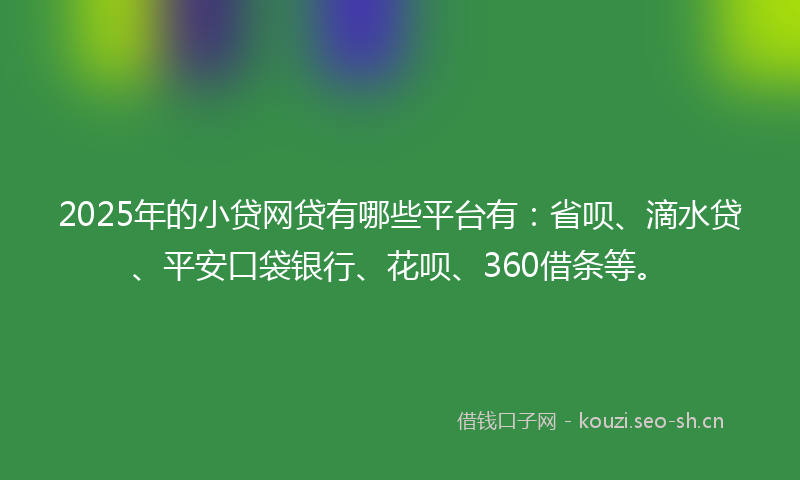 2025年的小贷网贷有哪些平台有：省呗、滴水贷、平安口袋银行、花呗、360借条等。