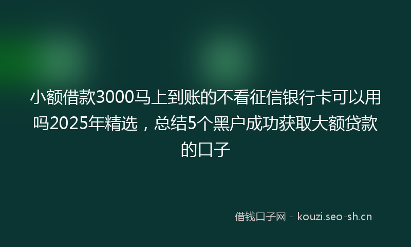 小额借款3000马上到账的不看征信银行卡可以用吗2025年精选，总结5个黑户成功获取大额贷款的口子
