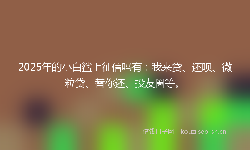 2025年的小白鲨上征信吗有：我来贷、还呗、微粒贷、替你还、投友圈等。