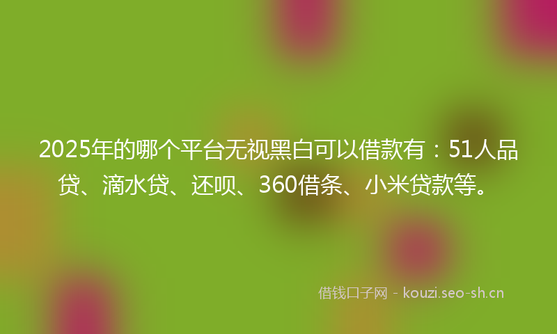 2025年的哪个平台无视黑白可以借款有：51人品贷、滴水贷、还呗、360借条、小米贷款等。