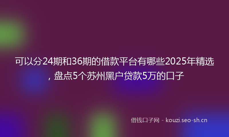可以分24期和36期的借款平台有哪些2025年精选，盘点5个苏州黑户贷款5万的口子
