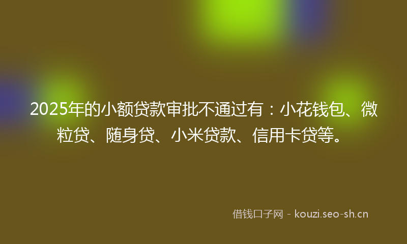 2025年的小额贷款审批不通过有：小花钱包、微粒贷、随身贷、小米贷款、信用卡贷等。