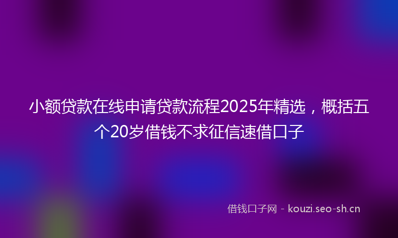 小额贷款在线申请贷款流程2025年精选，概括五个20岁借钱不求征信速借口子