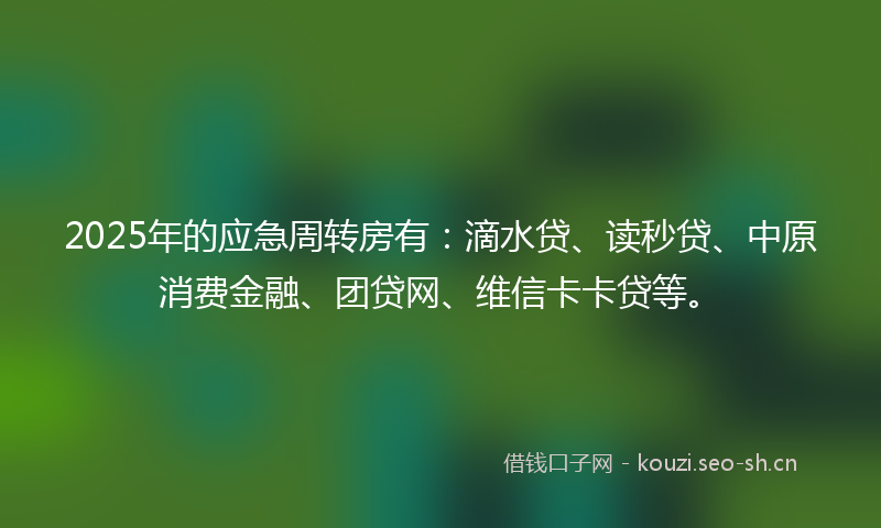 2025年的应急周转房有：滴水贷、读秒贷、中原消费金融、团贷网、维信卡卡贷等。