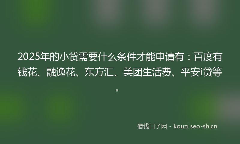 2025年的小贷需要什么条件才能申请有：百度有钱花、融逸花、东方汇、美团生活费、平安i贷等。