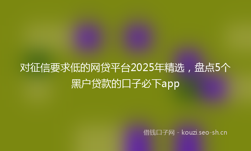 对征信要求低的网贷平台2025年精选，盘点5个黑户贷款的口子必下app