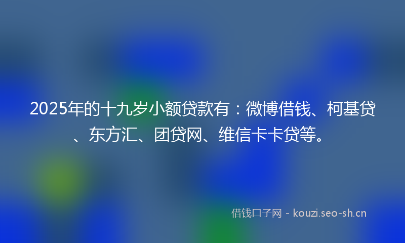 2025年的十九岁小额贷款有：微博借钱、柯基贷、东方汇、团贷网、维信卡卡贷等。