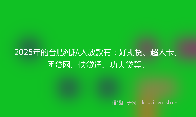 2025年的合肥纯私人放款有：好期贷、超人卡、团贷网、快贷通、功夫贷等。