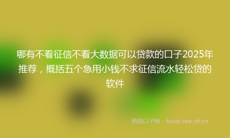 哪有不看征信不看大数据可以贷款的口子2025年推荐,概括五个急用小钱不求征信流水轻松贷的软件