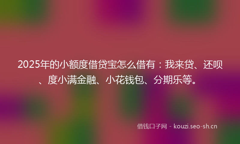 2025年的小额度借贷宝怎么借有：我来贷、还呗、度小满金融、小花钱包、分期乐等。