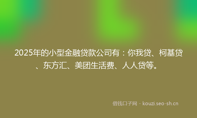 2025年的小型金融贷款公司有：你我贷、柯基贷、东方汇、美团生活费、人人贷等。