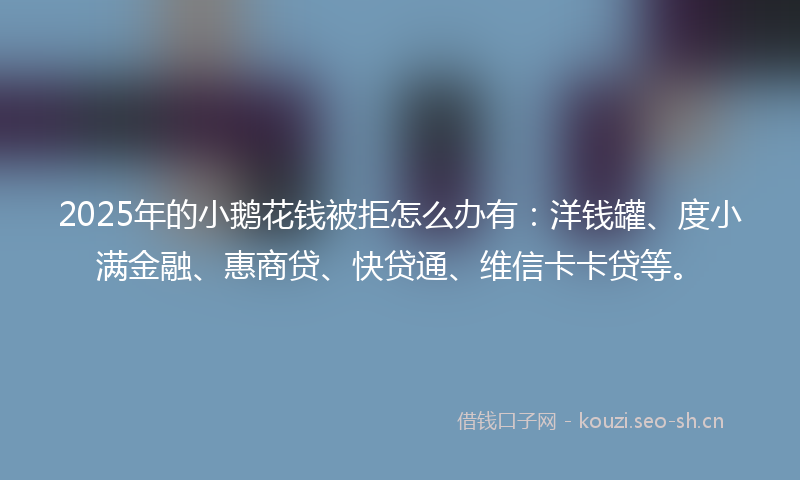 2025年的小鹅花钱被拒怎么办有：洋钱罐、度小满金融、惠商贷、快贷通、维信卡卡贷等。