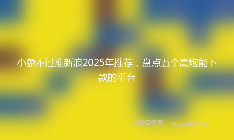 小象不过推新浪2025年推荐，盘点五个高炮能下款的平台