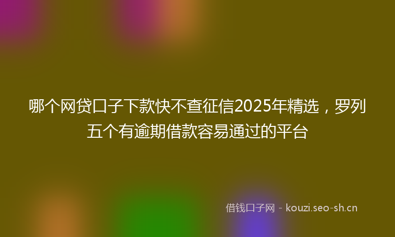 哪个网贷口子下款快不查征信2025年精选，罗列五个有逾期借款容易通过的平台