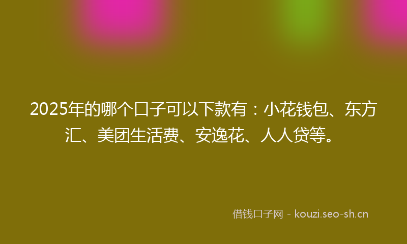 2025年的哪个口子可以下款有：小花钱包、东方汇、美团生活费、安逸花、人人贷等。