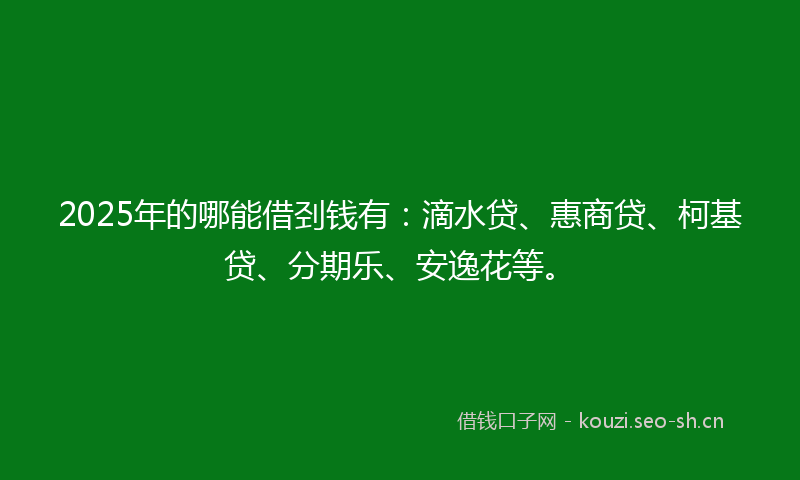 2025年的哪能借刭钱有:滴水贷、惠商贷、柯基贷、分期乐、安逸花等。