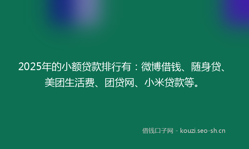 2025年的小额贷款排行有：微博借钱、随身贷、美团生活费、团贷网、小米贷款等。