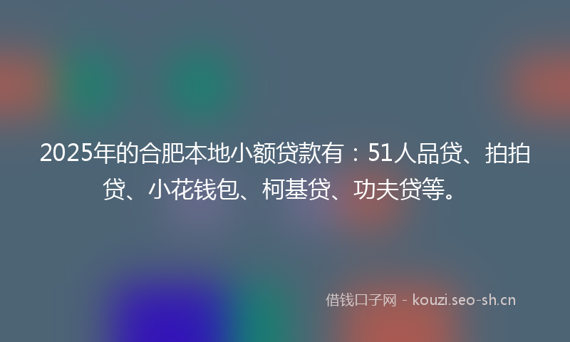2025年的合肥本地小额贷款有：51人品贷、拍拍贷、小花钱包、柯基贷、功夫贷等。