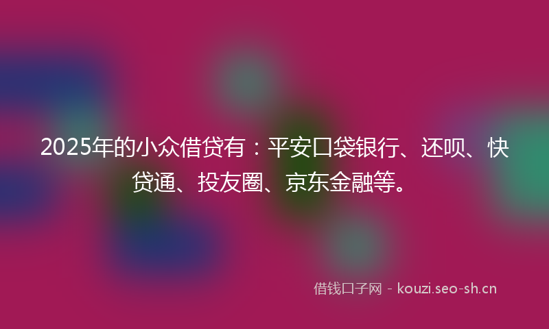 2025年的小众借贷有：平安口袋银行、还呗、快贷通、投友圈、京东金融等。