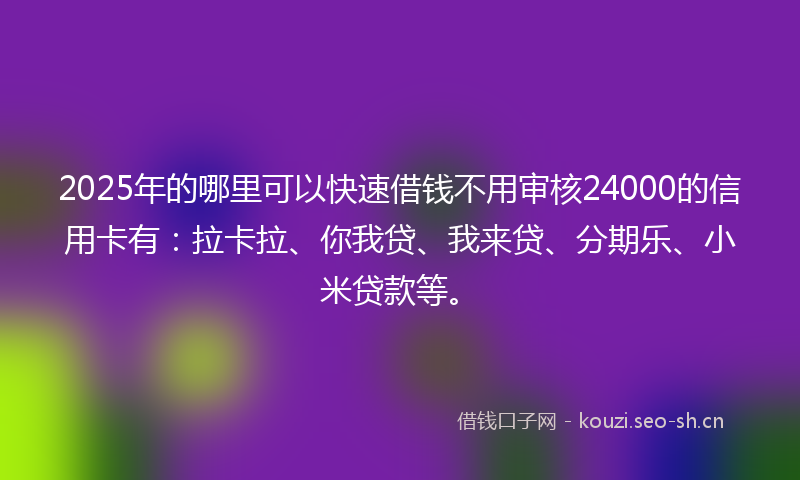 2025年的哪里可以快速借钱不用审核24000的信用卡有：拉卡拉、你我贷、我来贷、分期乐、小米贷款等。