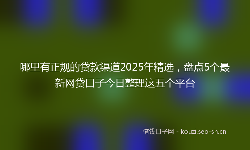 哪里有正规的贷款渠道2025年精选，盘点5个最新网贷口子今日整理这五个平台