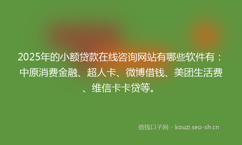 2025年的小额贷款在线咨询网站有哪些软件有：中原消费金融、超人卡、微博借钱、美团生活费、维信卡卡贷等。