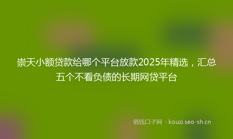 崇天小额贷款给哪个平台放款2025年精选，汇总五个不看负债的长期网贷平台