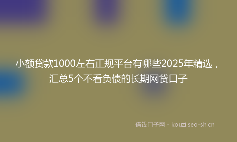 小额贷款1000左右正规平台有哪些2025年精选，汇总5个不看负债的长期网贷口子