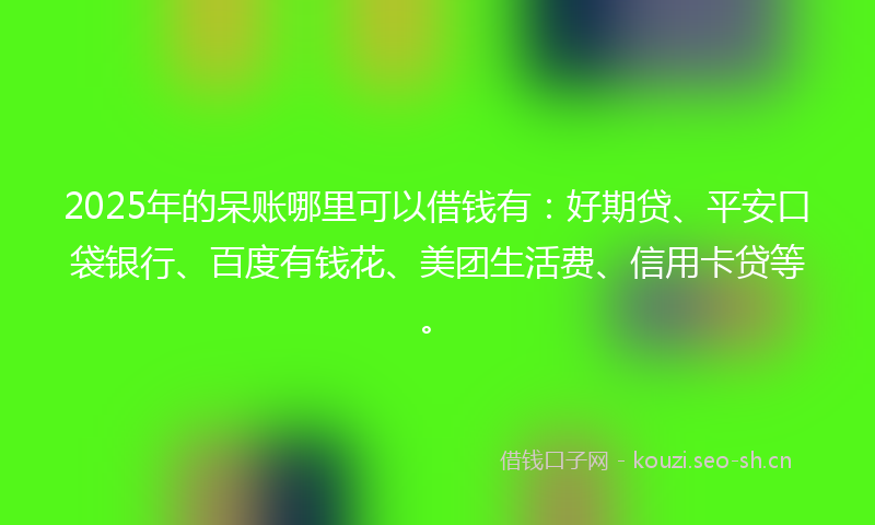 2025年的呆账哪里可以借钱有:好期贷、平安口袋银行、百度有钱花、美团生活费、信用卡贷等。