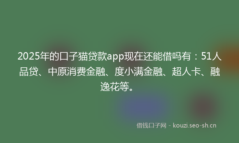 2025年的口子猫贷款app现在还能借吗有：51人品贷、中原消费金融、度小满金融、超人卡、融逸花等。