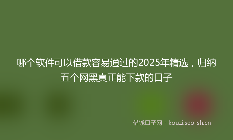哪个软件可以借款容易通过的2025年精选，归纳五个网黑真正能下款的口子
