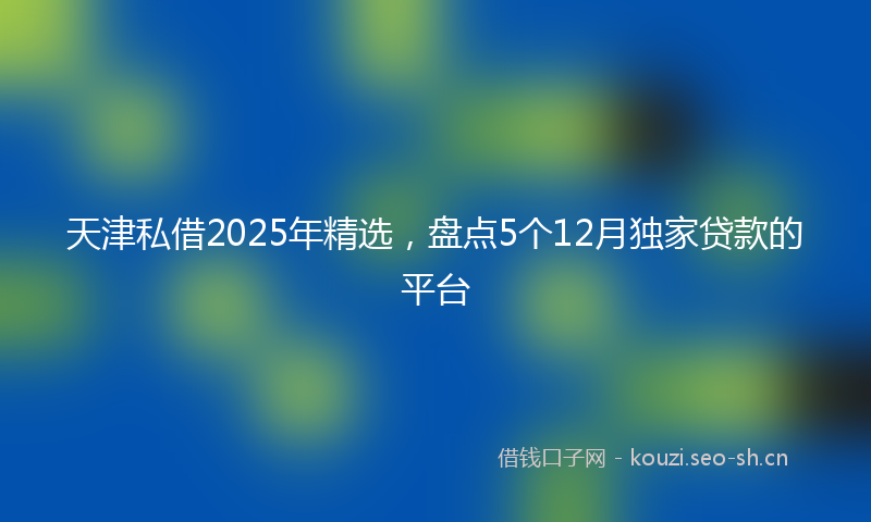 天津私借2025年精选，盘点5个12月独家贷款的平台