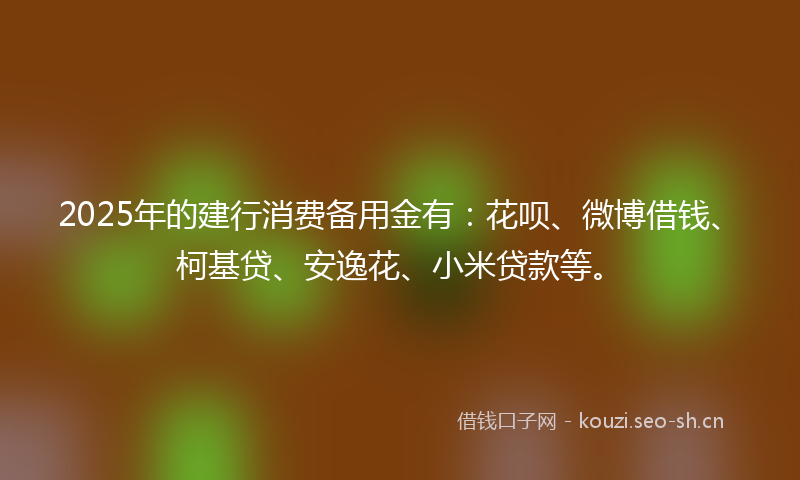 2025年的建行消费备用金有：花呗、微博借钱、柯基贷、安逸花、小米贷款等。