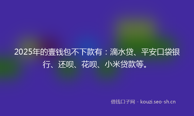 2025年的壹钱包不下款有：滴水贷、平安口袋银行、还呗、花呗、小米贷款等。