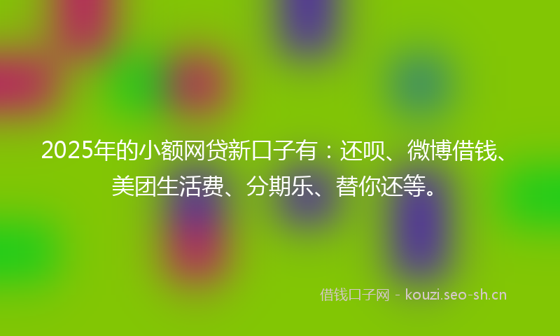 2025年的小额网贷新口子有：还呗、微博借钱、美团生活费、分期乐、替你还等。