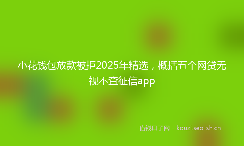 小花钱包放款被拒2025年精选,概括五个网贷无视不查征信app