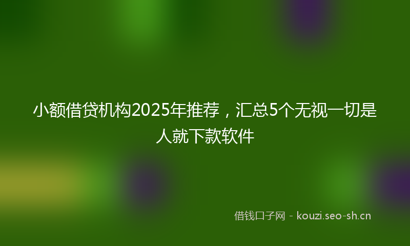 小额借贷机构2025年推荐，汇总5个无视一切是人就下款软件