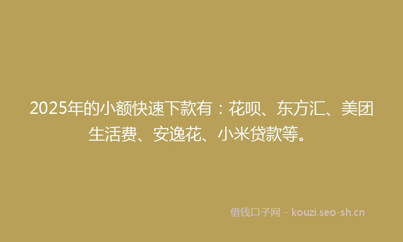 2025年的小额快速下款有:花呗、东方汇、美团生活费、安逸花、小米贷款等。