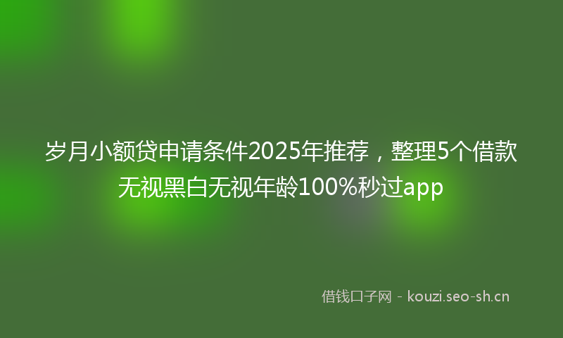 岁月小额贷申请条件2025年推荐,整理5个借款无视黑白无视年龄100%秒过app