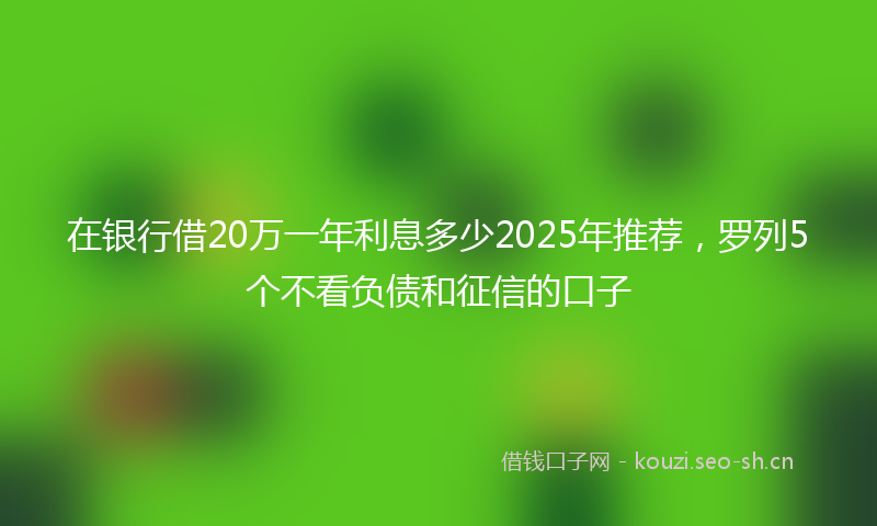 在银行借20万一年利息多少2025年推荐，罗列5个不看负债和征信的口子