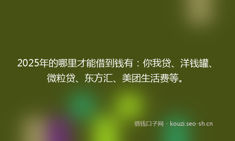 2025年的哪里才能借到钱有：你我贷、洋钱罐、微粒贷、东方汇、美团生活费等。