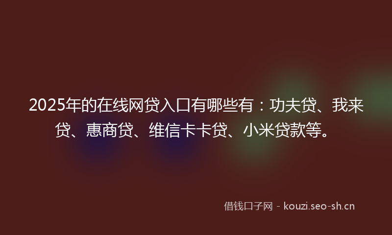 2025年的在线网贷入口有哪些有：功夫贷、我来贷、惠商贷、维信卡卡贷、小米贷款等。
