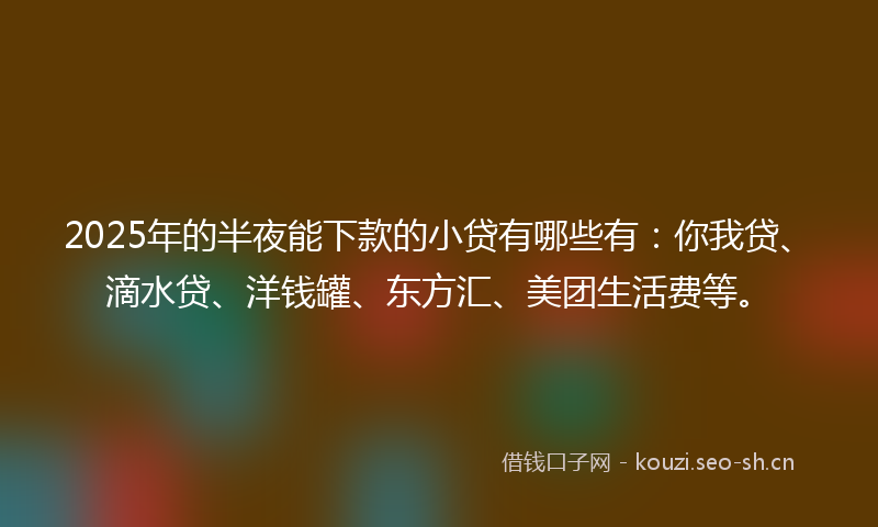 2025年的半夜能下款的小贷有哪些有：你我贷、滴水贷、洋钱罐、东方汇、美团生活费等。