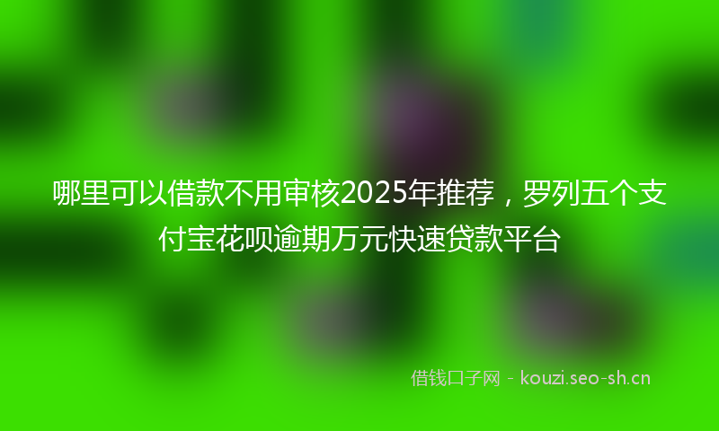 哪里可以借款不用审核2025年推荐，罗列五个支付宝花呗逾期万元快速贷款平台