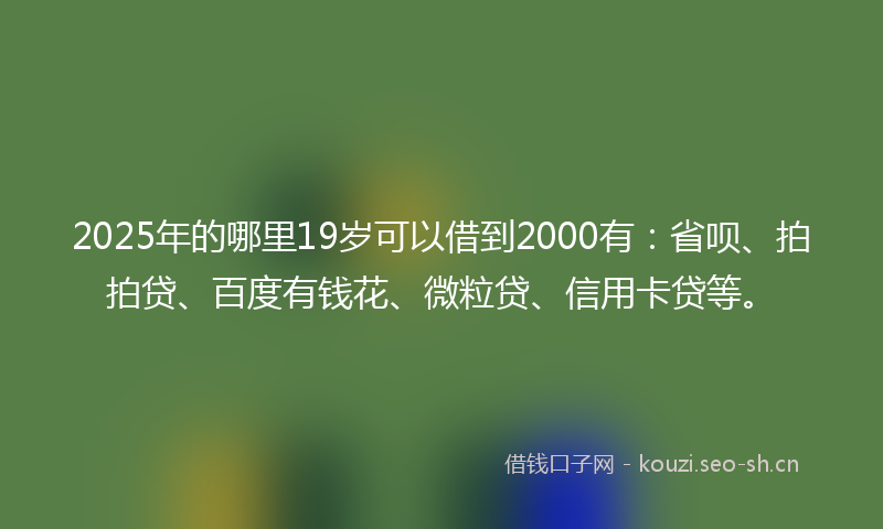2025年的哪里19岁可以借到2000有:省呗、拍拍贷、百度有钱花、微粒贷、信用卡贷等。