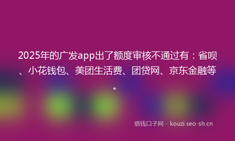 2025年的广发app出了额度审核不通过有：省呗、小花钱包、美团生活费、团贷网、京东金融等。