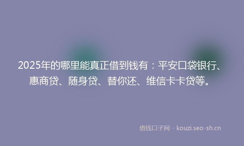 2025年的哪里能真正借到钱有：平安口袋银行、惠商贷、随身贷、替你还、维信卡卡贷等。
