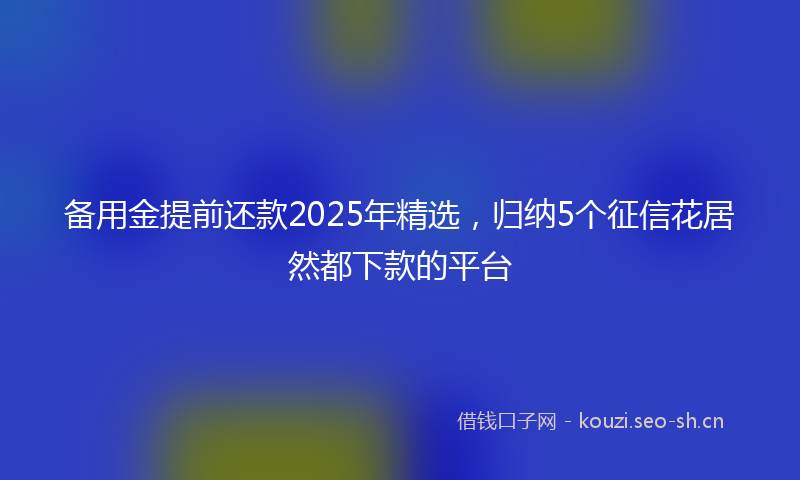 备用金提前还款2025年精选，归纳5个征信花居然都下款的平台